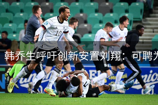 韩乔生呼吁创新安置刘翔：可聘为顾问或推广大使